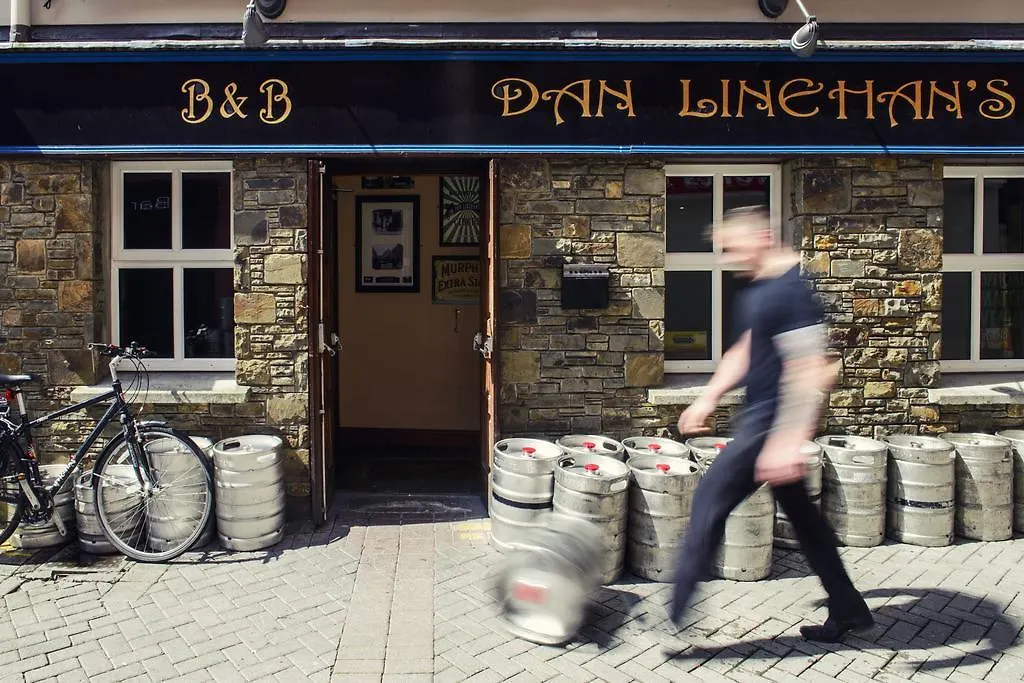 Dan Linehan'S B&B Cill Airne Bed & Breakfast