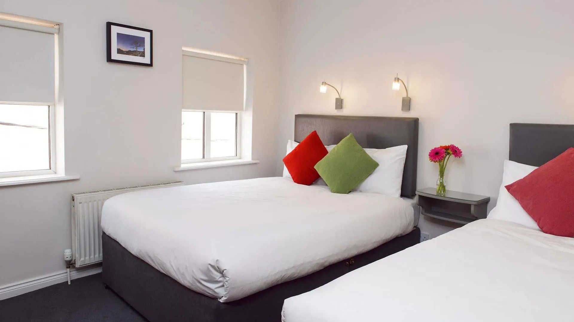 Bed & Breakfast Dan Linehan'S B&B Cill Airne